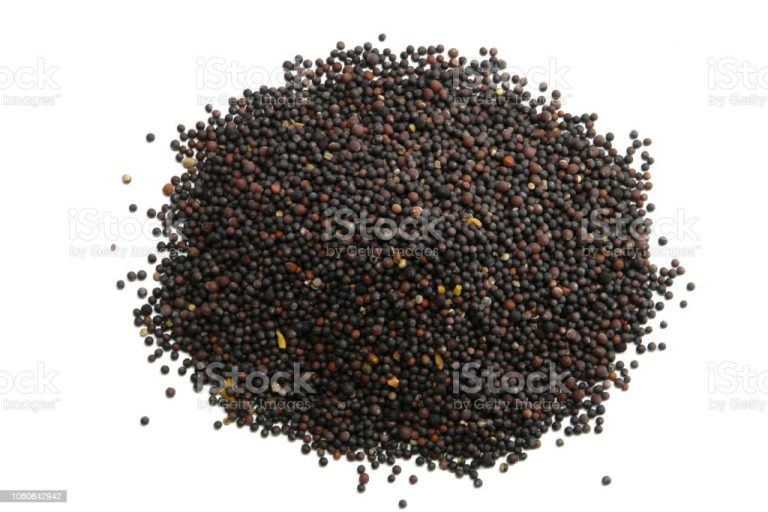 Black Mustard Seed on white background